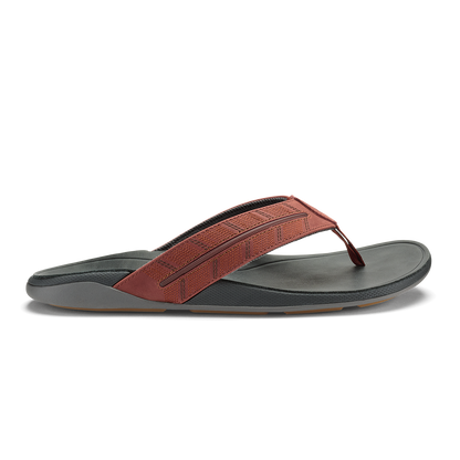 OluKai Popular | Tuahine Palm - Canoe / Rock
