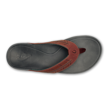 OluKai Popular | Tuahine Palm - Canoe / Rock