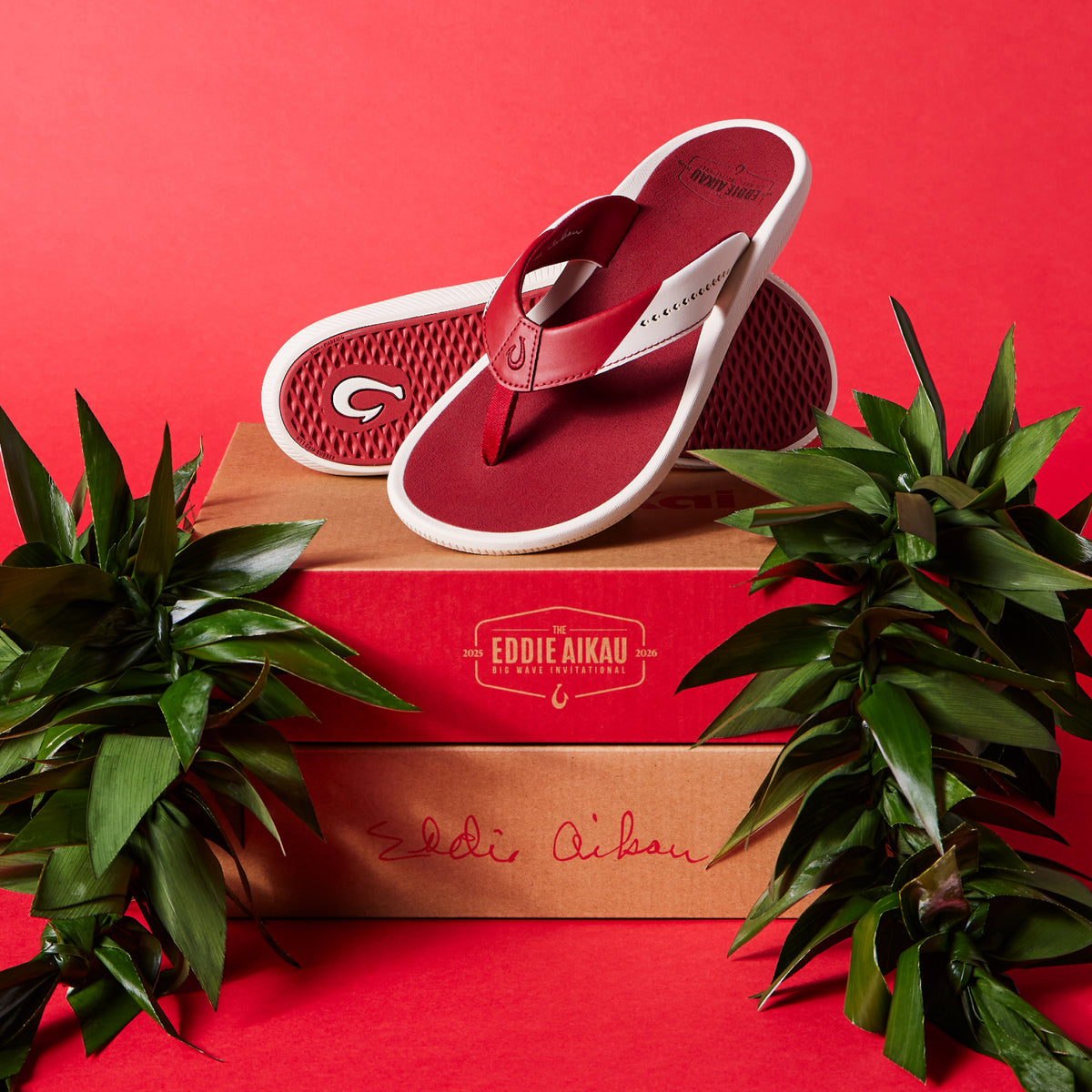 OluKai Premium | Ulele - Off White / Deep Red